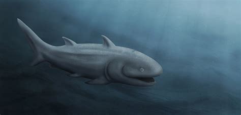 first bony fish|Bony Fish .